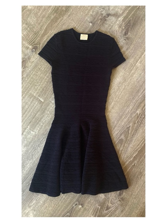 Torn by Ronny Kobo Dresses & Skirts - Torn by Ronny Kobo Fit & Flare Dress